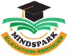 Mindspark Elevation Services Logo